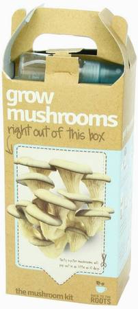 Back To The Root Mushroom Kit