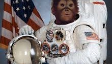 Most Fascinating Animal Astronauts