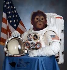 Top 10 Most Fascinating Animal Astronauts