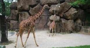 Best Zoos in USA