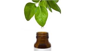 Best Health Benefits of Tea Tree Oil