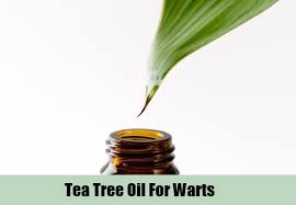 Best Health Benefits of Tea Tree Oil