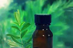 Best Health Benefits of Tea Tree Oil