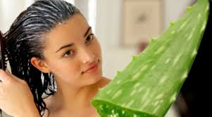 Most Amazing Beauty Benefits of Aloe Vera