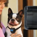 Top 10 Best Dog Bark Control Collars in 2016 Reviews