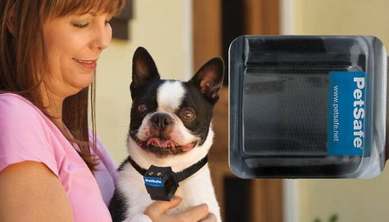 PetSafe Elite Little Dog Bark Control Collar